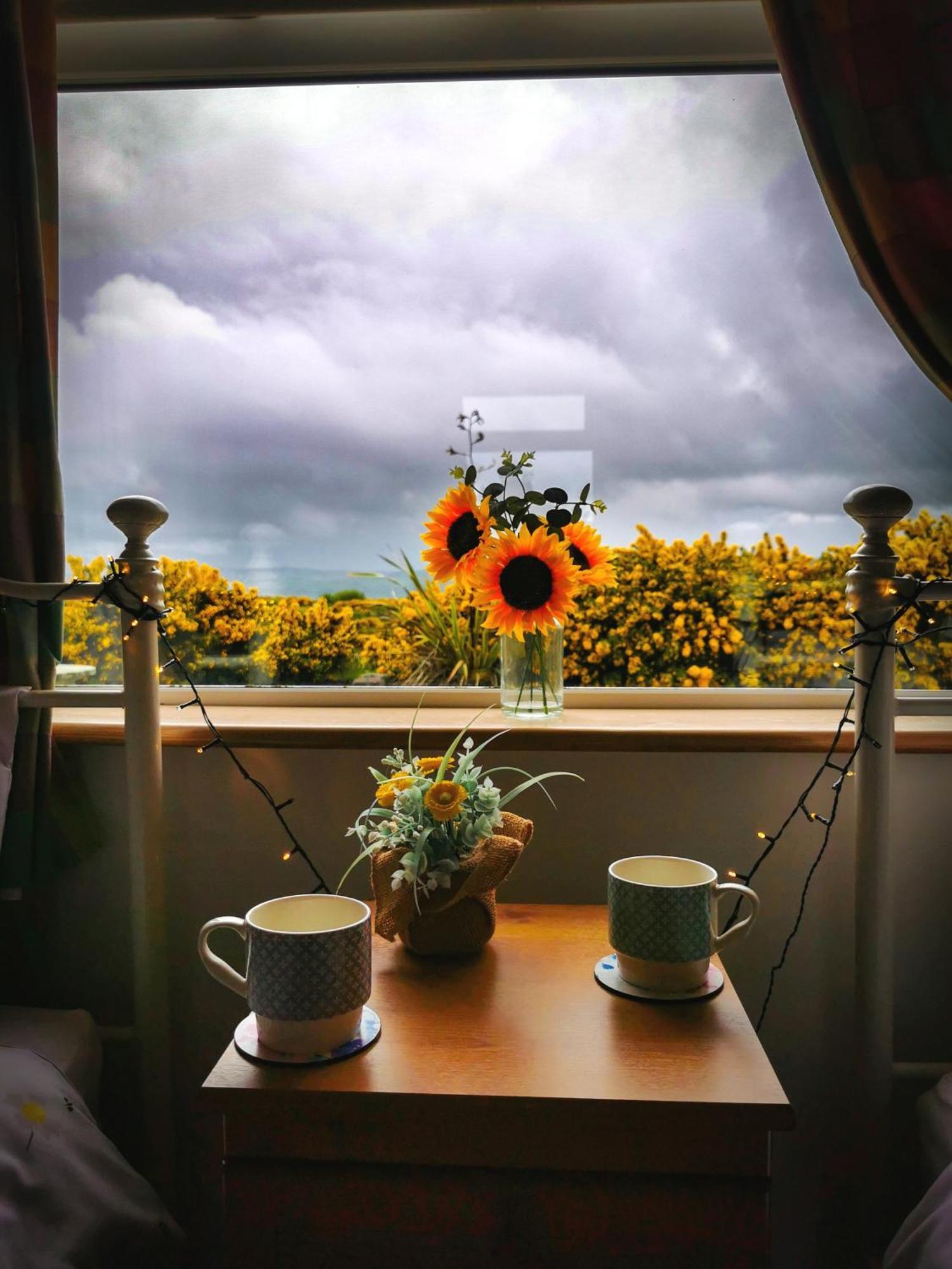 Causeway Coast Country Cottage, Pet-Friendly باليكاسل المظهر الخارجي الصورة