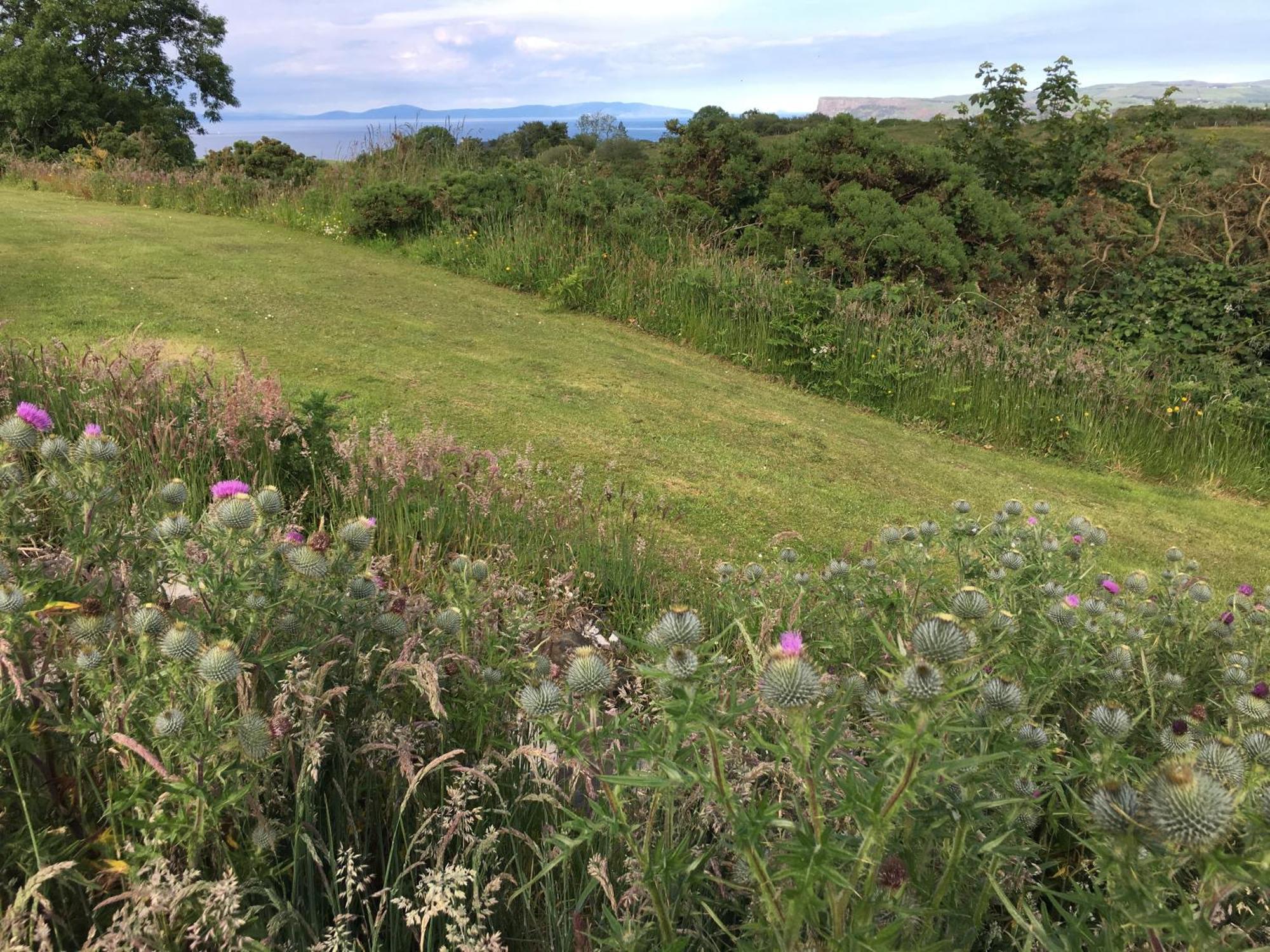 Causeway Coast Country Cottage, Pet-Friendly باليكاسل المظهر الخارجي الصورة
